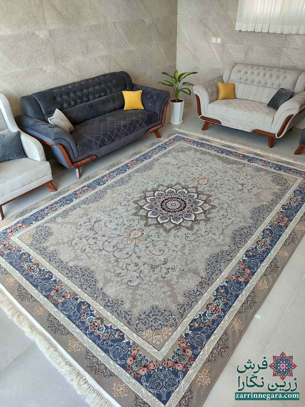 شیده فیلی